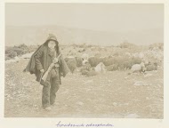 Corsicaanse schapenherder