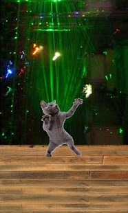 How to mod Dancing cat 1.3.2 unlimited apk for android