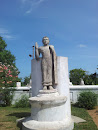 Standing Buddha Statue, Tissa
