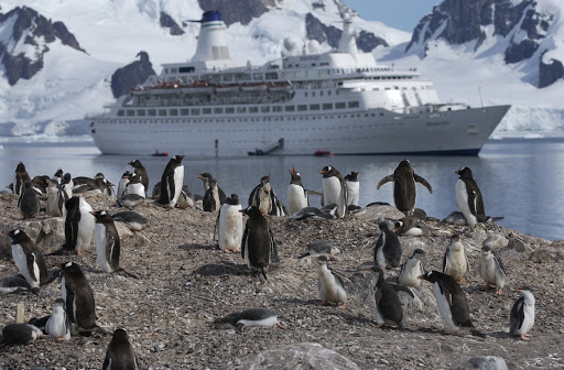And here's the ship as seen from the penguin colony. Passengers go ashore in small groups to wander in their presence.