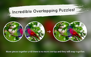 Venn Birds: Circle Jigsaw APK 螢幕截圖圖片 #16