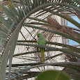 Nature Bahrain