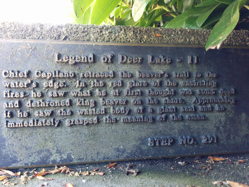 Legend of Deer Lake - 11