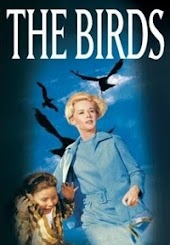 The Birds
