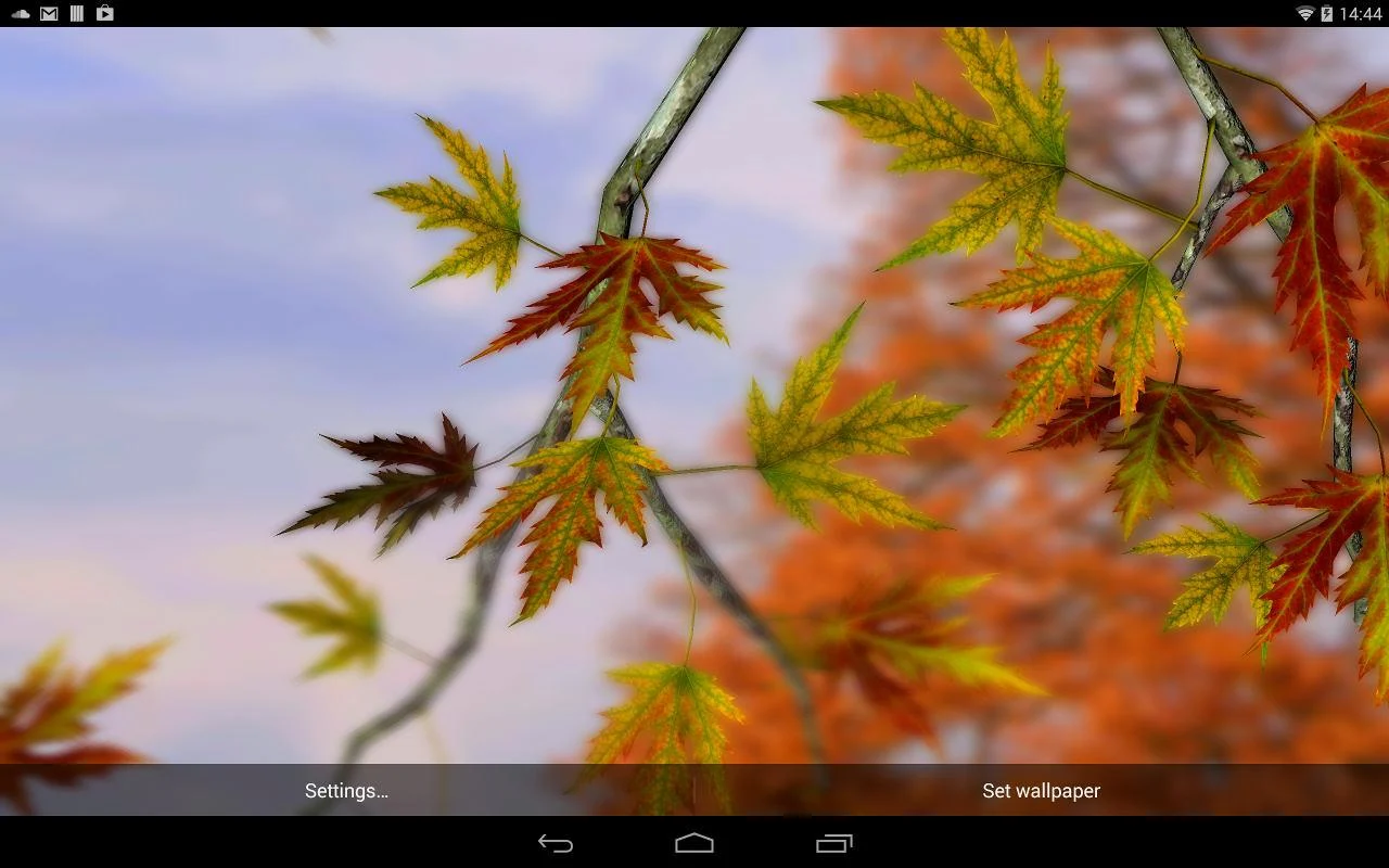  Autumn Leaves in HD Gyro 3D   il miglior live wallpaper autunnale per Android!