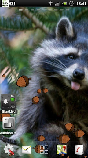 Raccoon live wallpaper