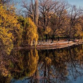 Autumn in Herastrau park by Adriana Bleau - City,  Street & Park City Parks