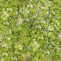 Perennal logo
