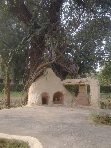 Shrine Under the Trees