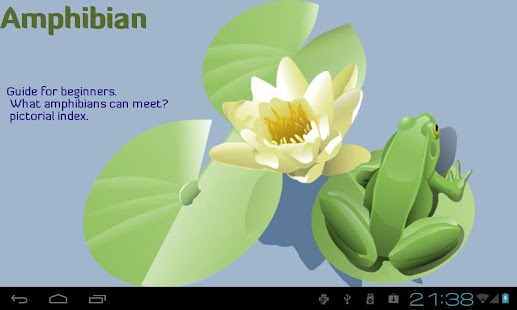 How to install Amphibian 2.5 apk for laptop