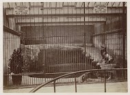 Traliekooi met zeeleeuwen en waarschuwingsborden in het aquarium van Brighton