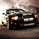 Sport Cars Live Wallpaper icon