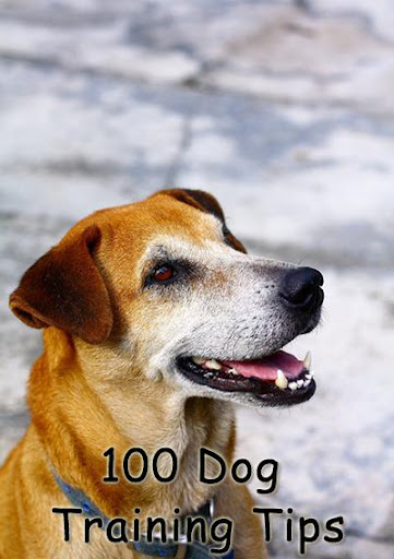 100 Dog Training Tips