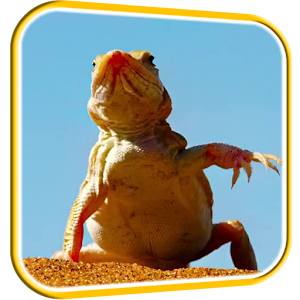 Funny Lizard Live Wallpaper.apk 3.0