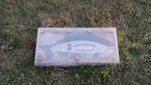 Salmon Safe Park