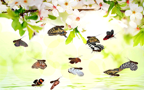 download ดอกไม้สดวอลล์เปเปอร์ Canno free