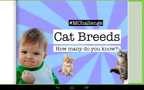 How to install Cat Memes & Breeds Game 1.6.2 unlimited apk for android
