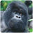 Gorilla Sounds APK สำหรับ Windows - ดาวน์โหลด