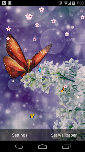 蝴蝶春天繽紛花朵壁紙