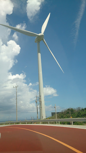 Kunigami Wind farm 1
