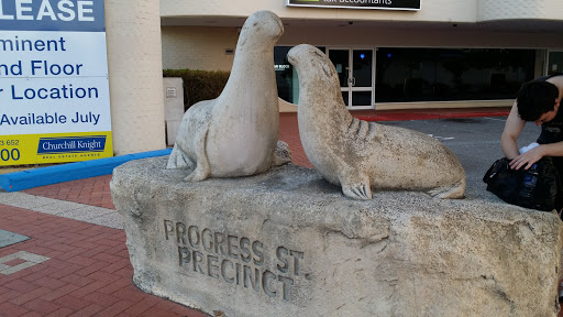 Progress St Precinct Seals
