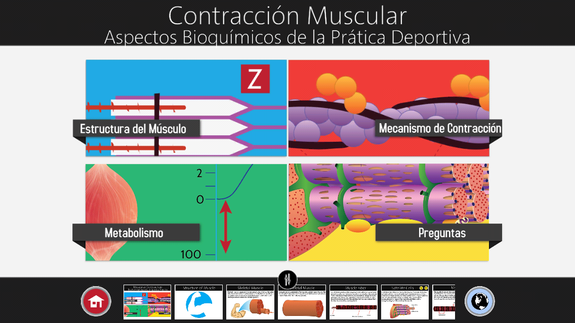 Android application Muscle Contraction screenshort