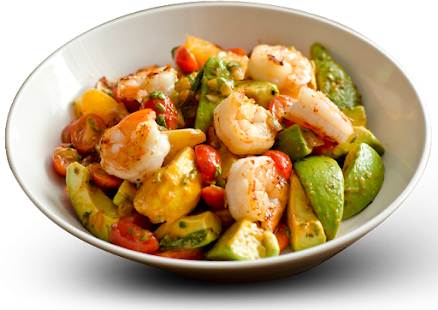 Free Quick Easy Paleo Diet Recipes APK