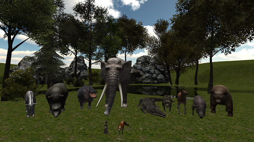 Zoo Animals Tour 3D