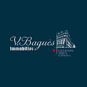 Victor Baguès Immobilier.apk 1.0