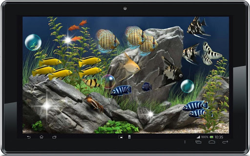 【免費個人化App】Aquarium Fishes Photo LWP-APP點子