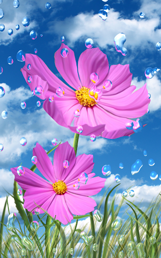 Summer Rain Flowers HD LWP