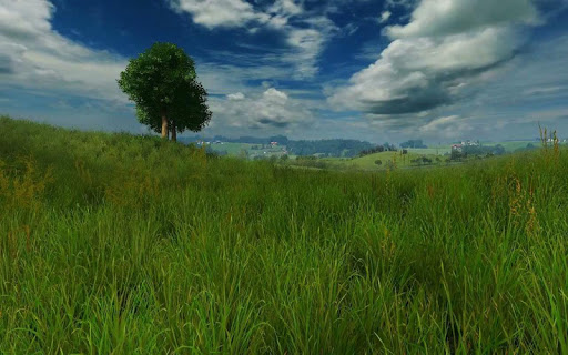 【免費個人化App】Grassland live wallpaper-APP點子