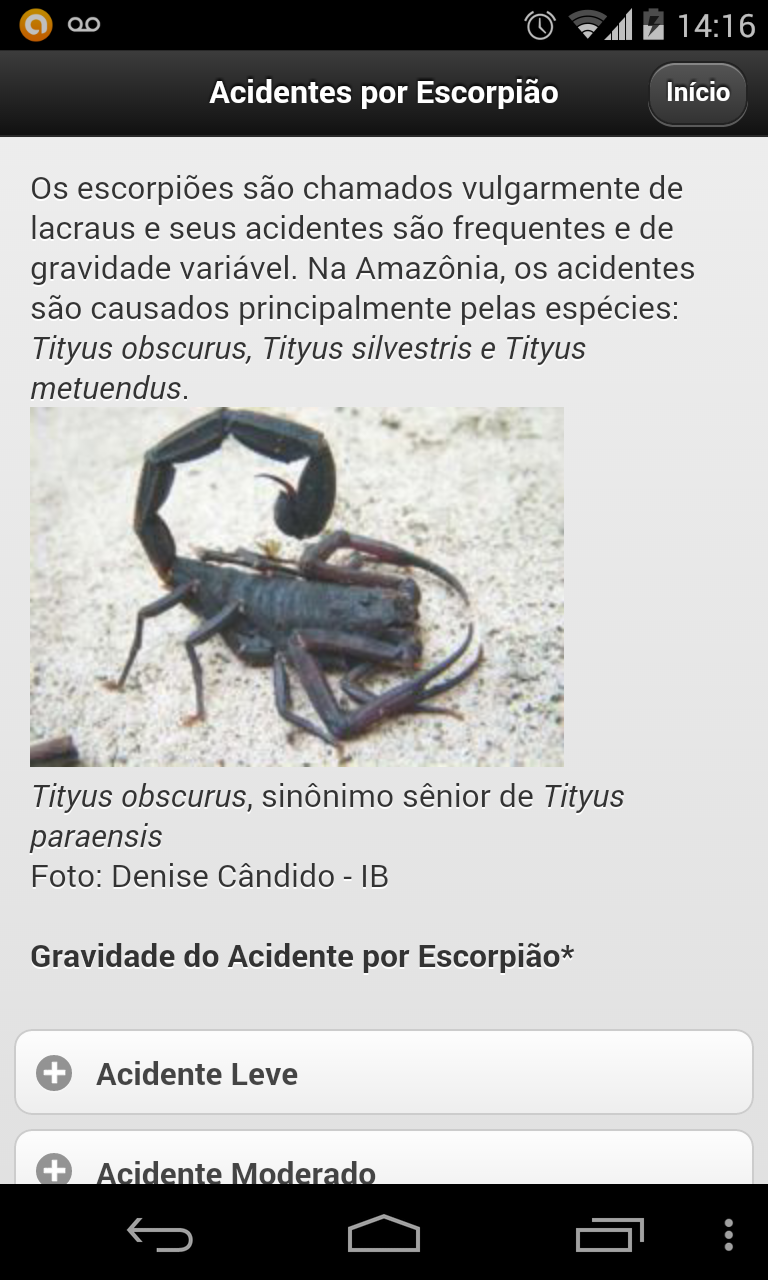 Acidentes: animais peçonhentos Screen 3