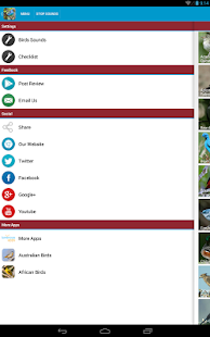 South American Birds Sounds Screenshots 7