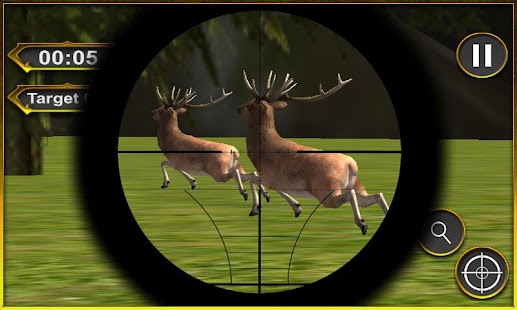 hunting Jungle Animals