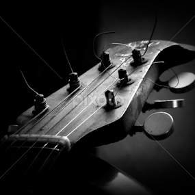 On a Lonely Night by Monzur Sazid Ahmed - Artistic Objects Musical Instruments