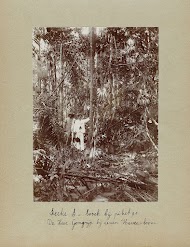 Sectie S - bosch bij piket 90