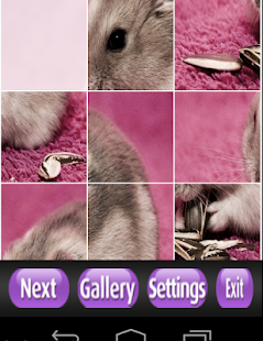 Hamster Puzzle Games