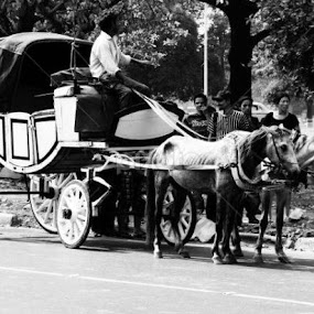 Ekka Gari by Kushal Ghosh - People Professional People