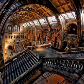 by Richard  Harris - Buildings & Architecture Other Interior