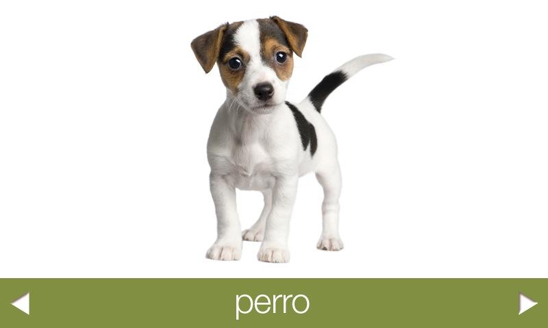 Toddler Spanish: 100 words Screen 2