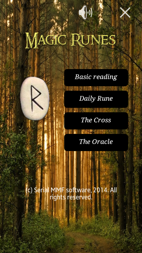 Android application Future in Runes. Professional screenshort