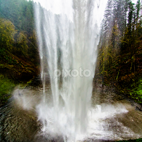 Silver Falls 2 by Megan Smith - Landscapes Waterscapes