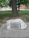 Dr. Laurence C. Boyle Memorial