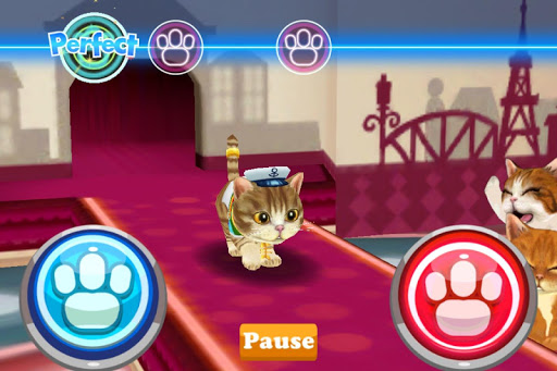 免費下載模擬APP|Dancing Cat Simulator app開箱文|APP開箱王