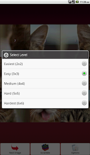 Cats Puzzle Screenshots 7