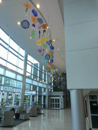 Glass Chandeliers At KU Med