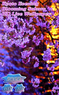 How to install Evening Sakura at a Kyoto Pond 1.6.2 unlimited apk for laptop