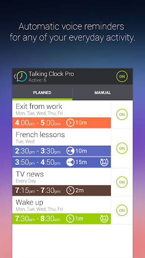 Talking Clock Timer Pro