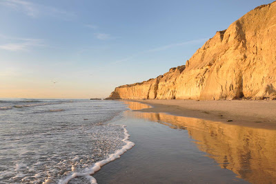 Torrey Pines Beach near San Diego, California.